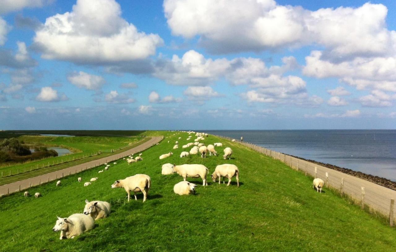 Jagershuistexel Oosterend (Texel) Exterior foto