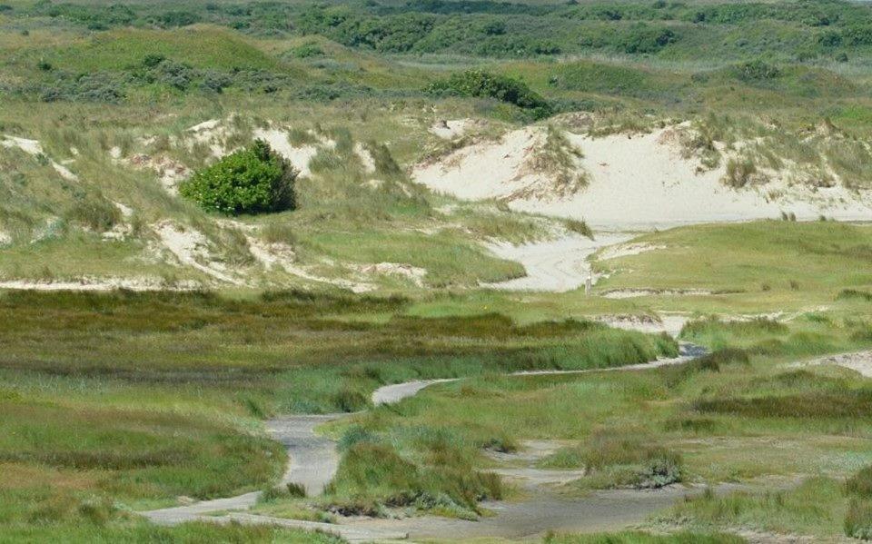 Jagershuistexel Oosterend (Texel) Exterior foto