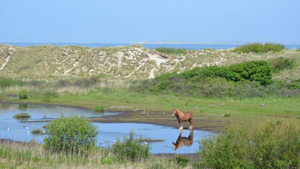 Jagershuistexel Oosterend (Texel) Exterior foto
